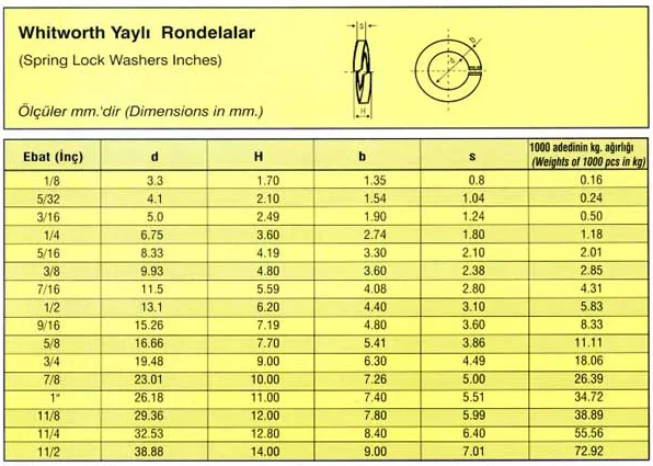Whitworth Yaylı Rondelalar
